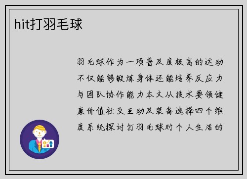 hit打羽毛球