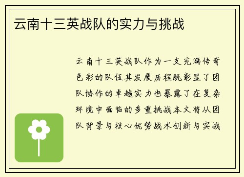 云南十三英战队的实力与挑战