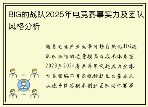 BIG的战队2025年电竞赛事实力及团队风格分析